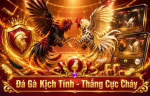 Giao diện Đá Gà 46877553