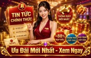 46877553 Tin Tức 2026